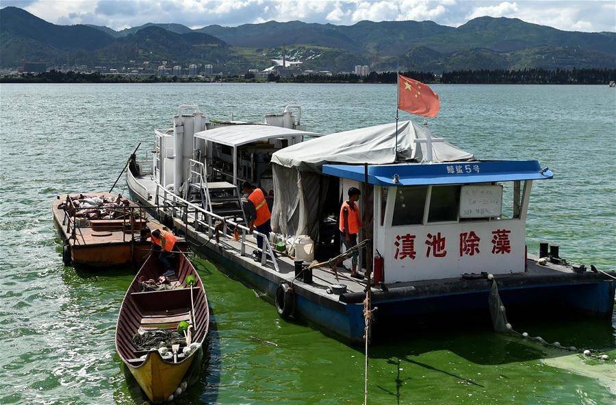 滇池鲸鲨队鏖战北城黑豹队，F1大奖赛火力全开，转换速度占优。冲刺阶段不容有失的简单介绍